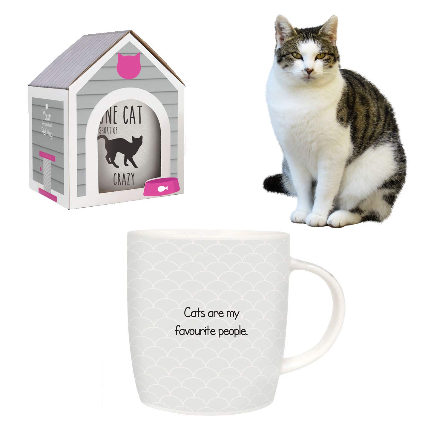 SploshCat Mug - Funny ‘One Cat Short of Crazy’ Ceramic Cup for Pet Lovers | Cat Lady Gift | Mum Present | Personalised Coffee & Customised Tea Cup for Women