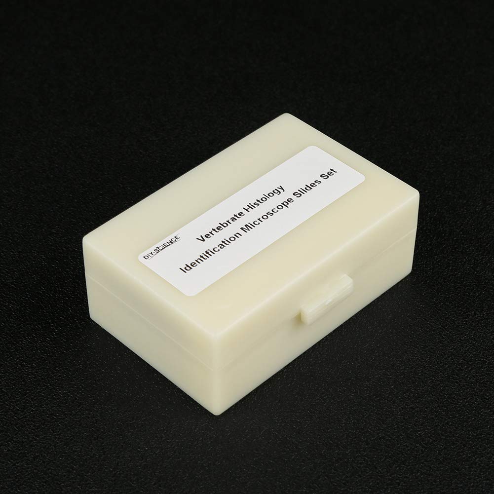 Snapklik.com : Prepared Vertebrate Histology Identification Microscope ...