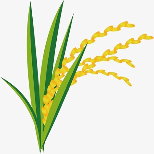 Leaf Disease Detection