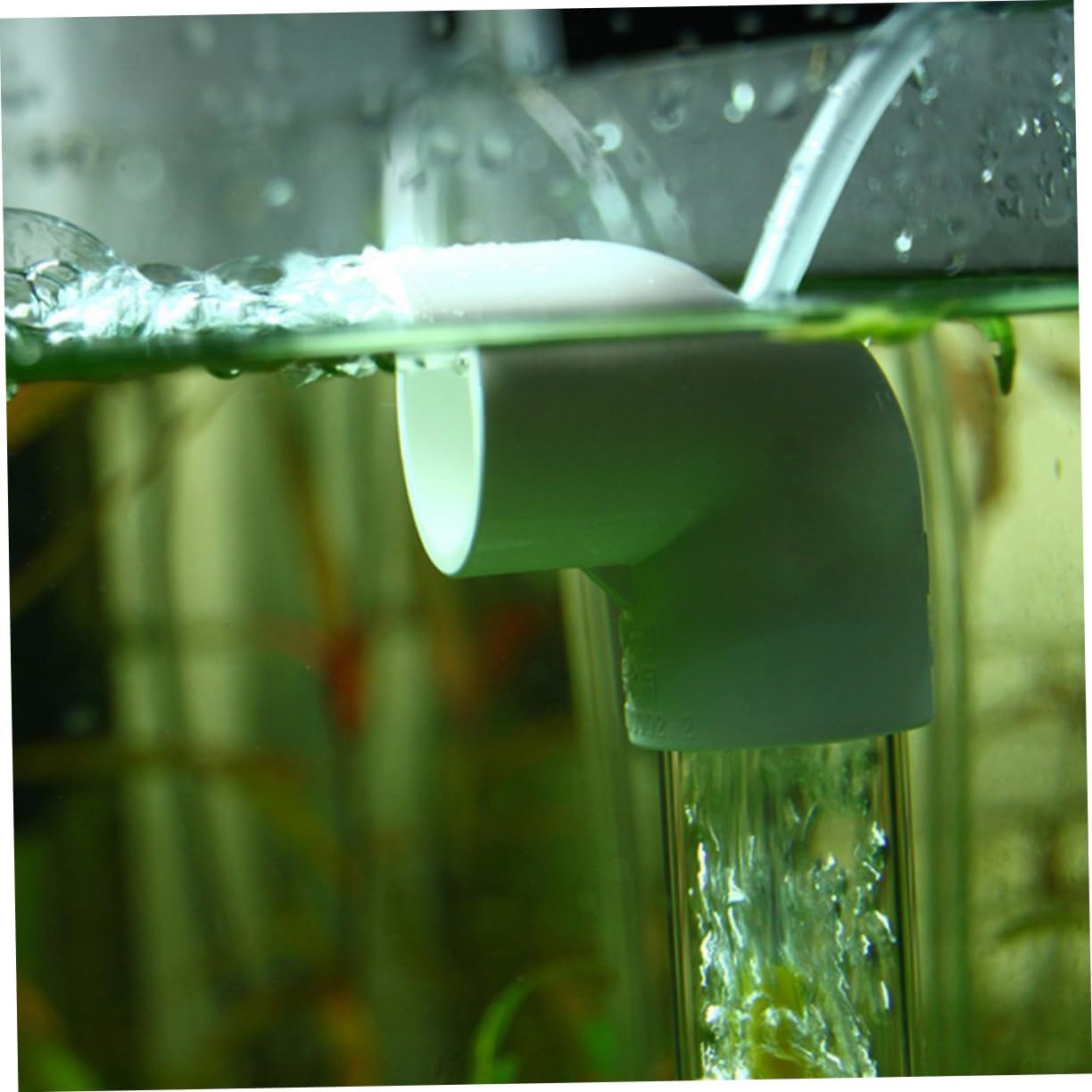 Toddmomy Aquarium Cichlids Fish Hatchery Incubator Breeding Box for Mouth-Brooding Eggs Non-Adhesive Design Water Circulation for Optimal Incubation Conditions