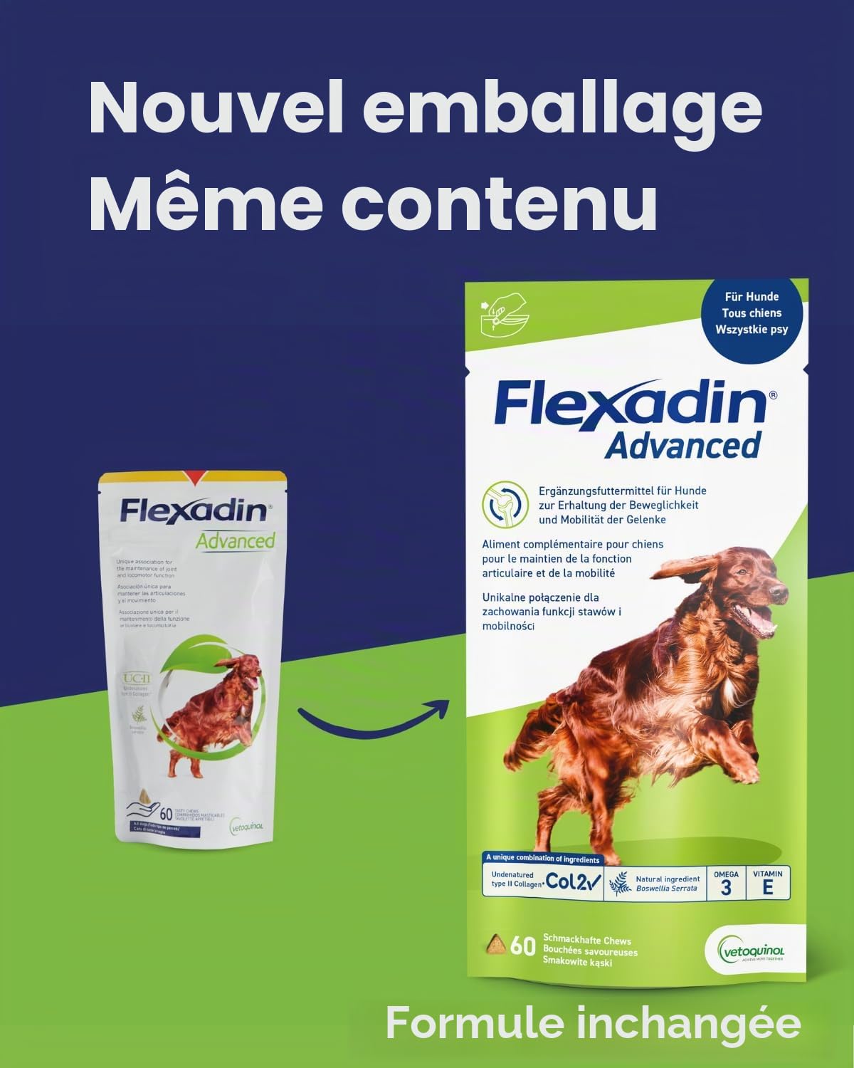 FLEXADIN Advanced® Chien | Pour la santé des articulations | Collagène non dénaturé de type II & Boswellia – 60 friandises articulaires