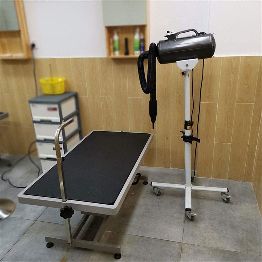 Blowing Machine Large Dog Golden Hair Pet Bath High Power Double Motor Cat Dog Mute Hair Dryer Dryer (Color : Style 2)