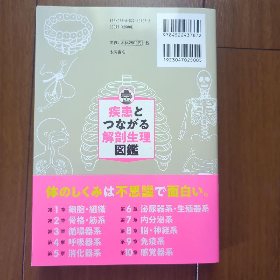 【A4サイズ】解剖生理+重要項目+頻出疾患まとめノート 3セット 解剖生理+重要項目+頻出疾患まとめノート 3セットの通販 by 看護師応援