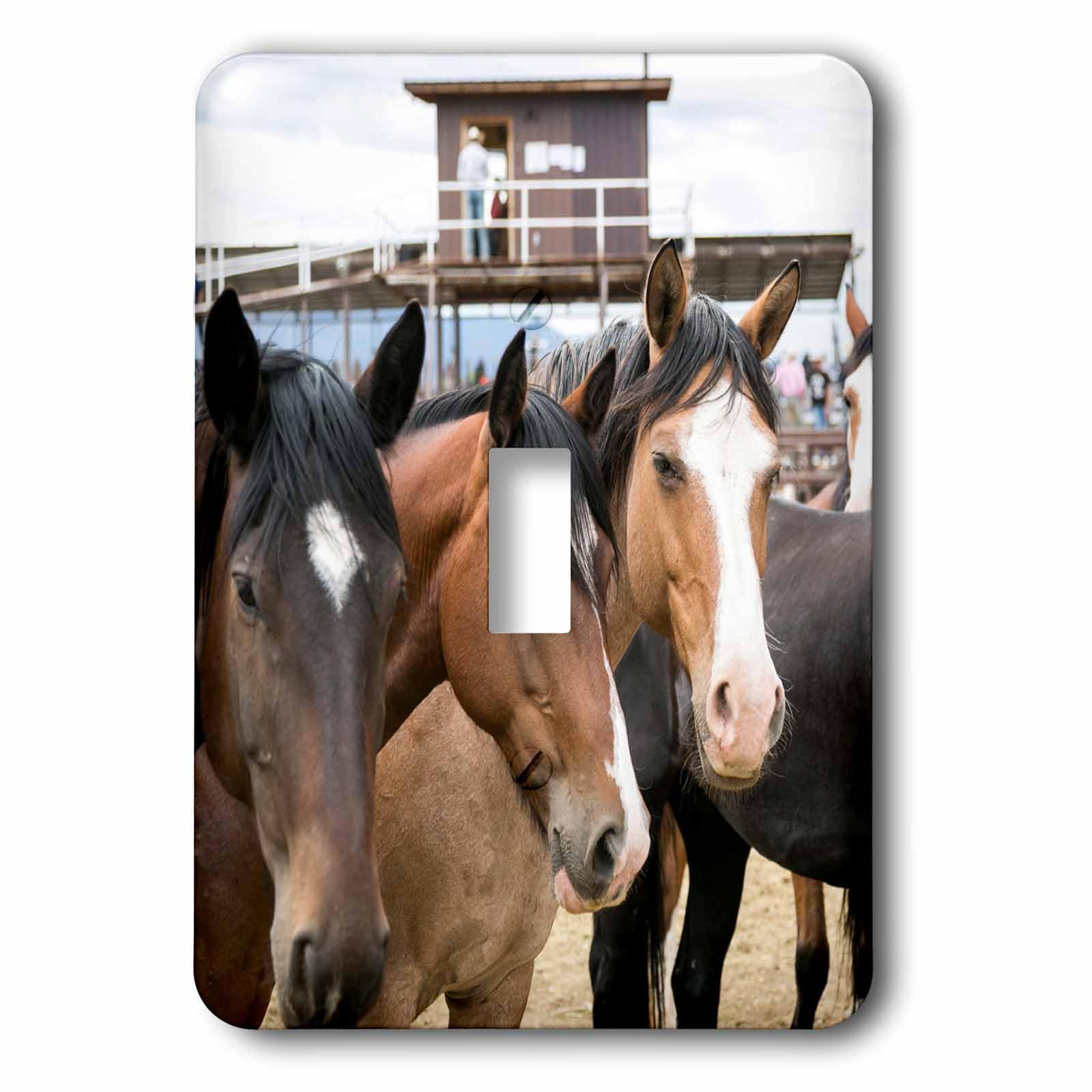 Interrupteur Taos Nouveau-Mexique décor western pour maison