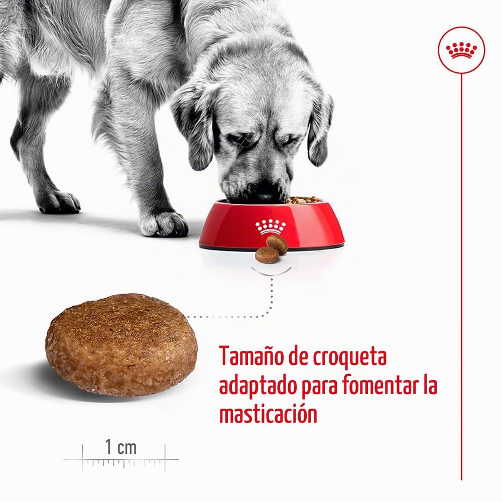 Royal Canin Comida para perros Maxi Adult +5 15 Kg