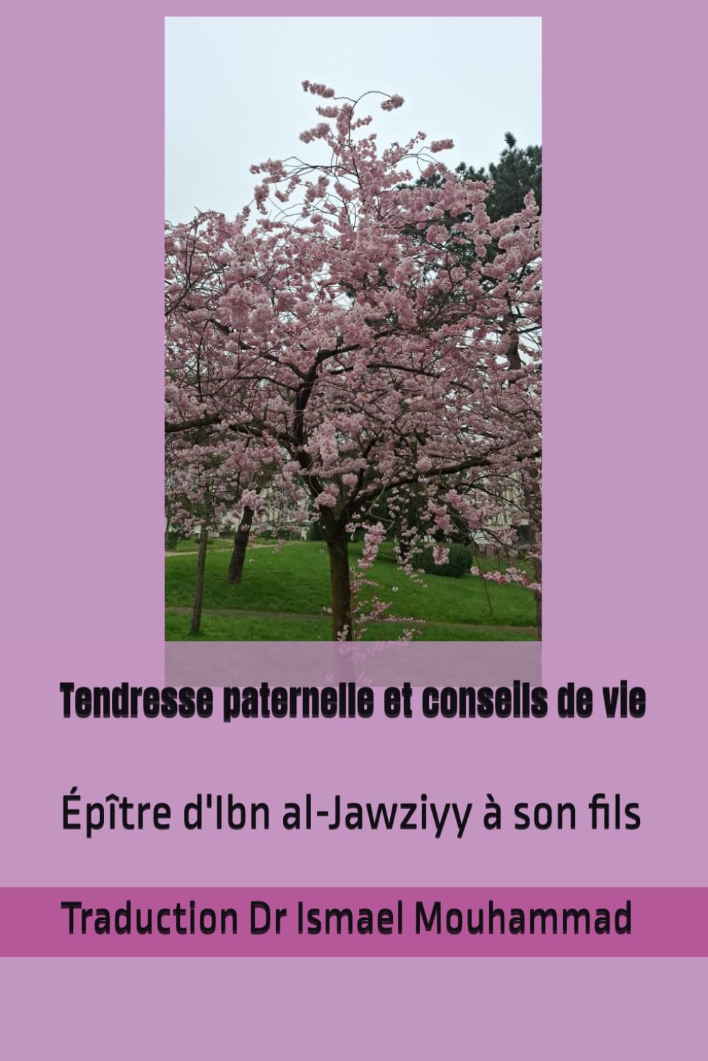 Tendresse paternelle et conseils de vie: Épître d'Ibn al-Jawziyy à son fils