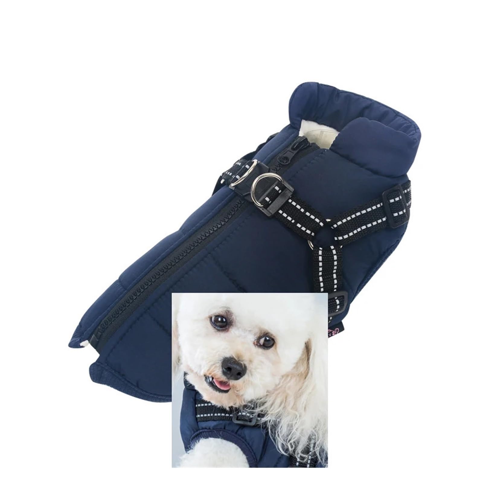 Manteau chien personnalisé marine M : veste d'hiver GWT330600 avec manches réglables
