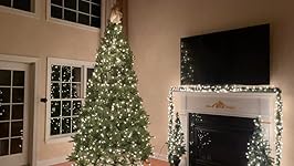 Review Image by Dan Dan