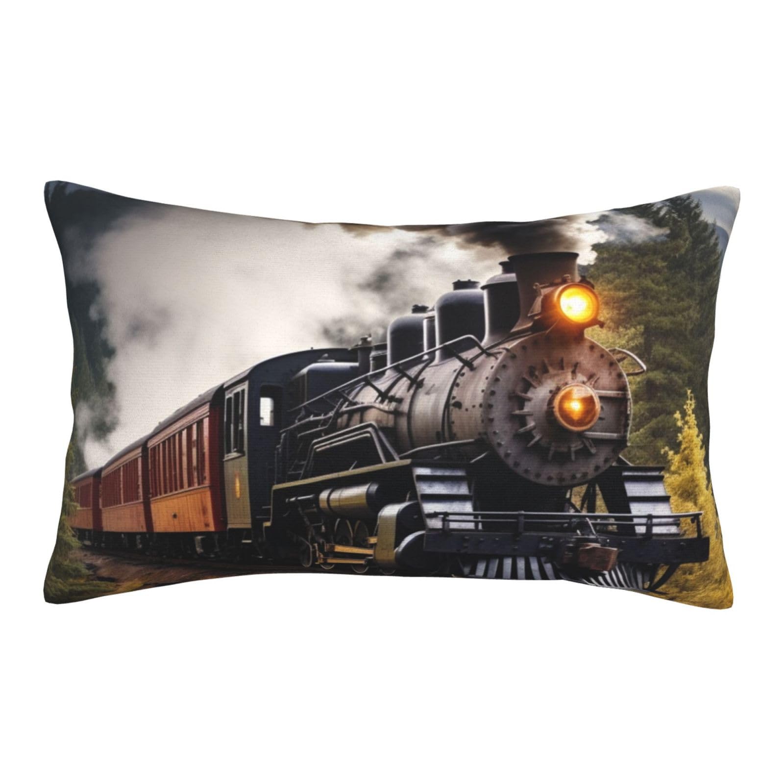 Velvet Pillowcases 16"x24" Ultra Soft Breathable Pillow Cases, Luxury Fuzzy Throw Pillow Covers with Zipper, Steam Train Pillow Shams All Seasons Decorative Cushion Cases for Couch