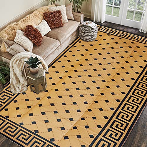 SAND MINE Reversible Mats, Plastic Straw Rug, Modern Area Rug, Large Floor Mat Rug for Outdoors, RV, Patio, Backyard, Deck, Picnic, Beach, Trailer, Camping, Brown & Black, 9' x 18'