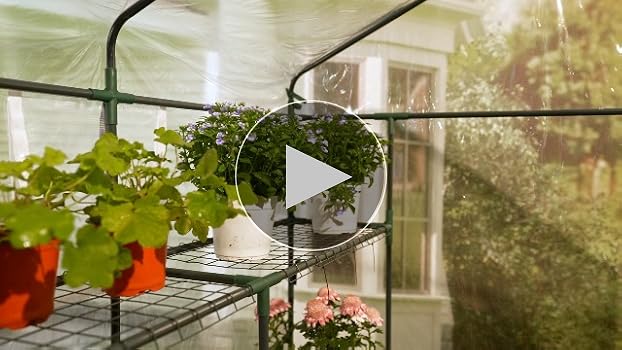 Amazon.com : Quictent Greenhouse for Outdoors, Mini Walk-in