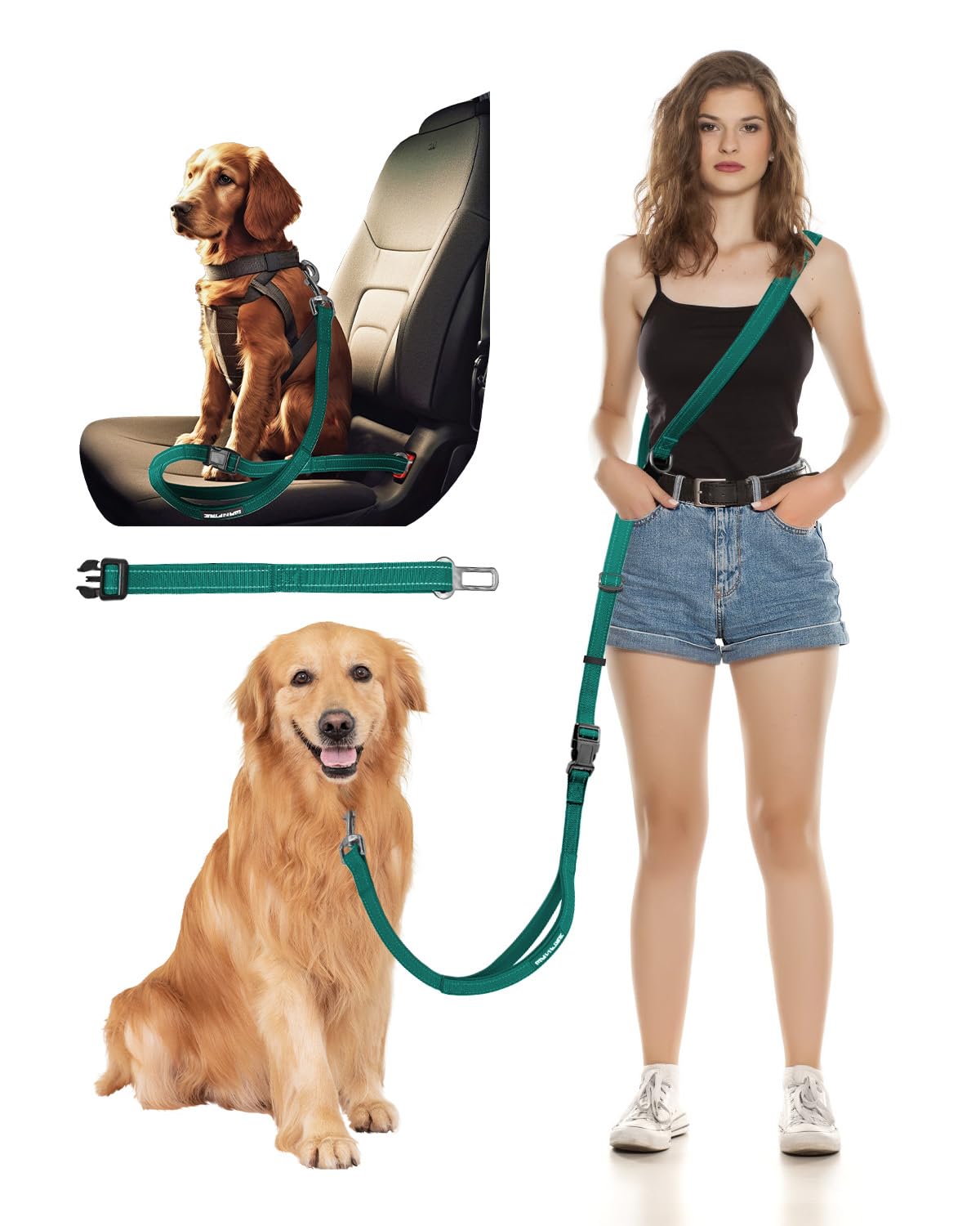 Hands Free Dog Leash, 2-in-1 Detachable Dog Leash & Pet Seat Belt,5.9-9.2 ft Wasit Belt with Double-Sided Reflective for Walking, Hiking, Travel etc.(Green)