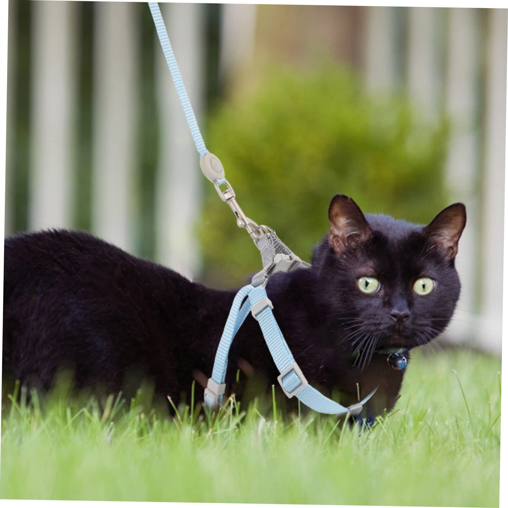 Toyvian 1Set Cat Harness and Leash Set for Kittens Escape Soft Design for Outdoor Activities Long Leash for Maximum Freedom and Control Fits Cats