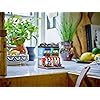 Product Photo 5