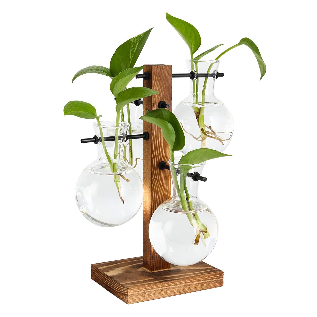 DLMAONN Plant Terrariums Kit Desktop Hydroponics Air Planter Holder with 4 Bulb Beaker Glass Vase and Solid Wood Stand for Home Office Decoration