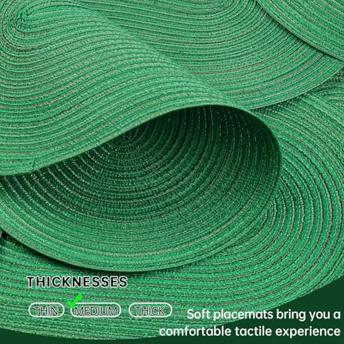 Noctiflorous Woven Oval Braided Placemats Set of 8-12 x 17.5 Inch Washable Non-Slip Heat Resistant Table Mats for Kitchen and Dining（Green Shine, 8 by Noctiflorous - Used condition - Image 3