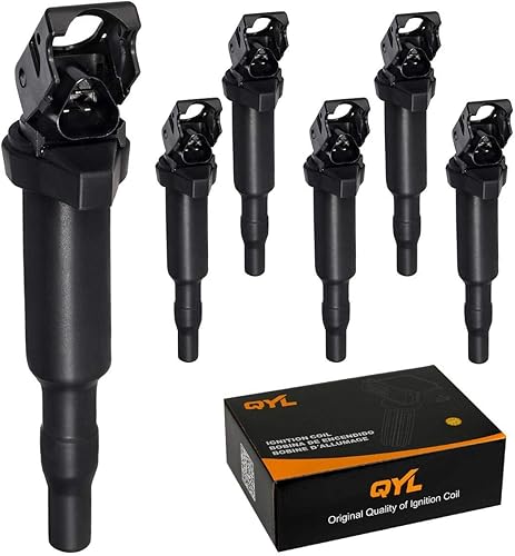 QYL 6 bobinas de encendido compatibles con BMW 128i 135i 335i 325i 328i 330i M5 M6 525xi 528i 550i 750i N54 X3 X5 X6 Z4 4.4L 4.8L repuesto para
