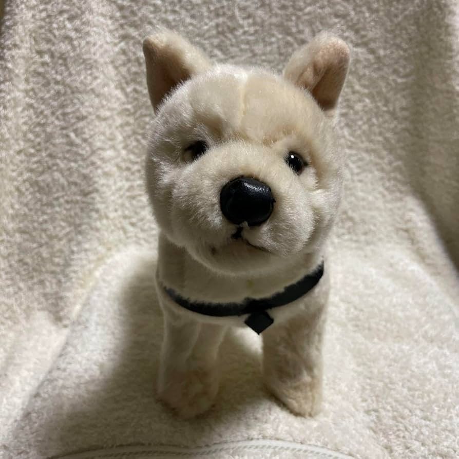 レア 国立科学博物館 秋田犬 ハチ ぬいぐるみ おすわり ハチ号 レア レア 国立科学博物館 秋田犬 ハチ ぬいぐるみ おすわり ハチ号 レア