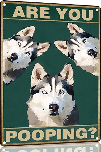 Vista 15 de Bichon Frise Dog - Cartel de 12 x 16 pulgadas con texto en inglés "Are You Pooping" para decoración de baño, póster de metal para perro amante