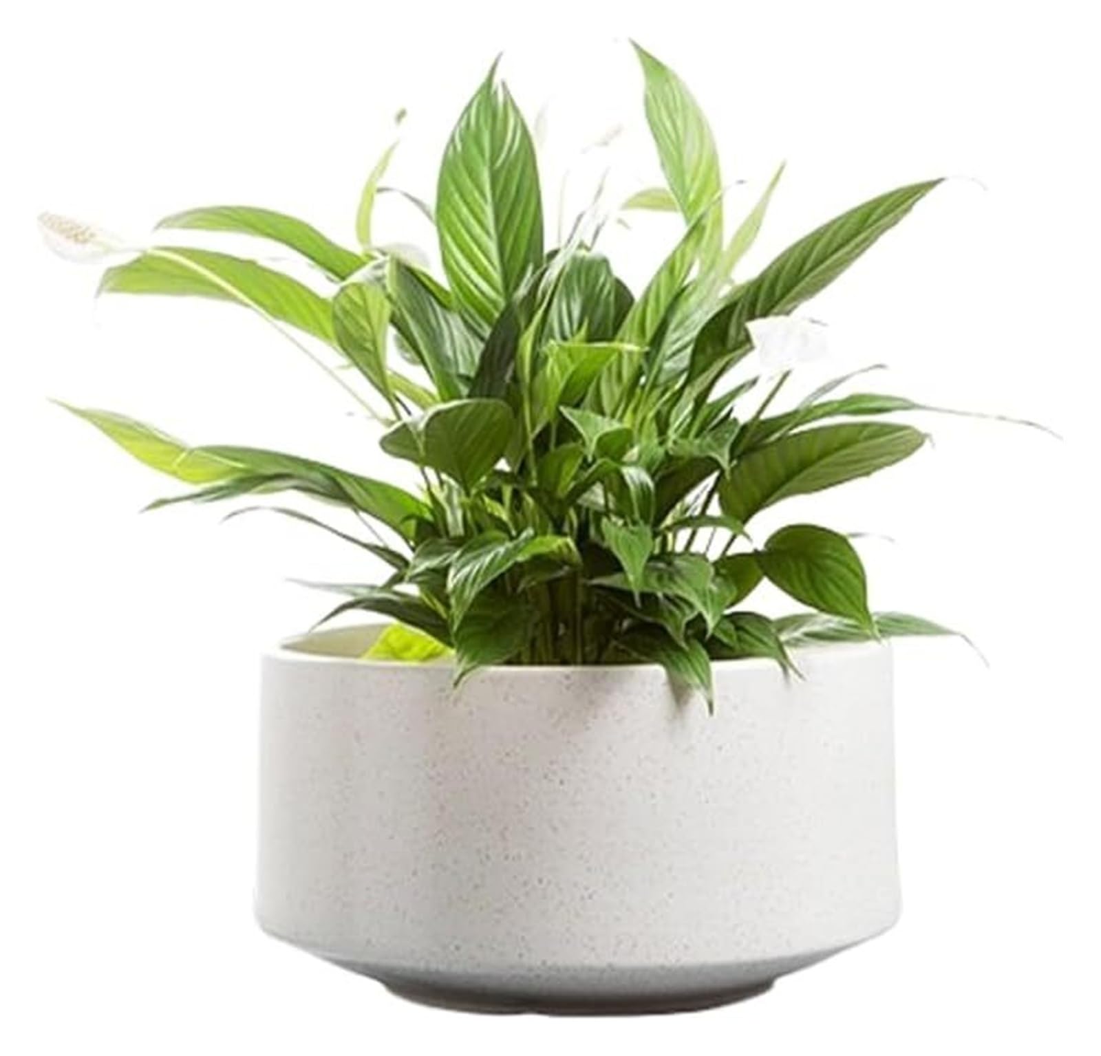 Doniczka gliniana do roślin ceramiczna doniczka nowoczesny sukulent dekoracyjny kwiat z otworem drenażowym 30 cm okrągły do wewnątrz na zewnątrz rośliny ziołowe (biały, 14 cm)