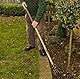 Spear & Jackson 4183NB Elements Gartenkralle, 3 Zinken