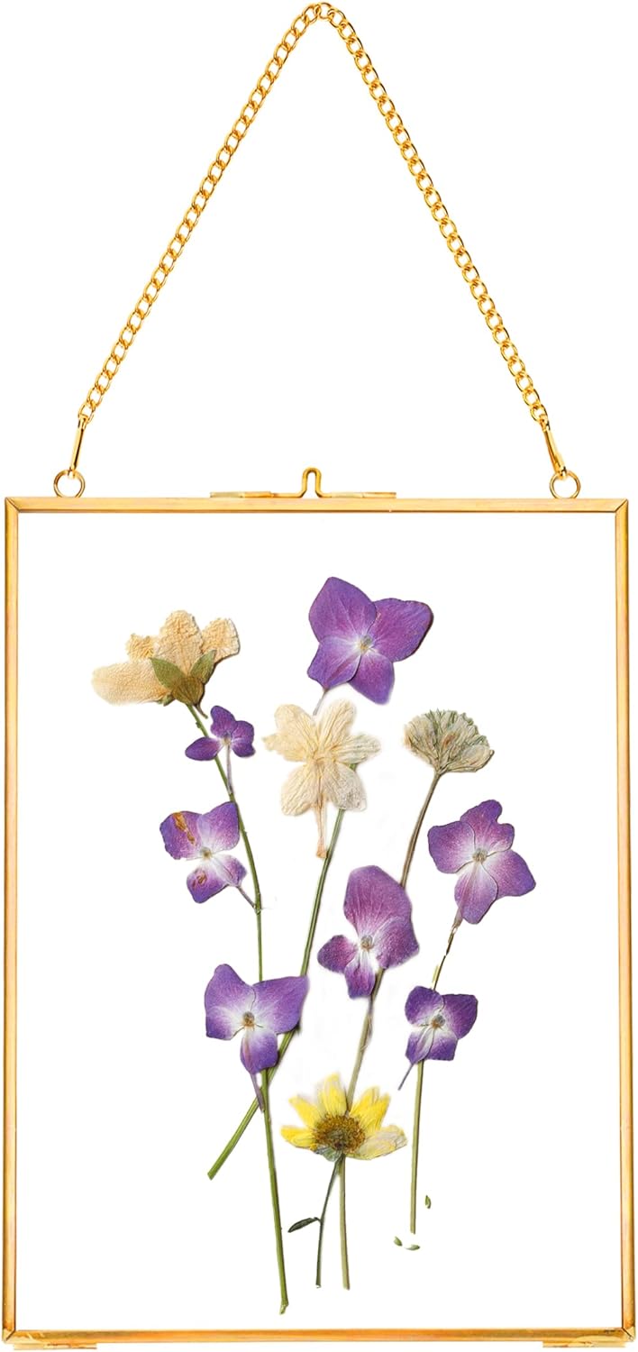 REDHUGO Hanging Pressed Flower Frames, Double Glass Floating Picture Frame Handmade, Glass Frame for Pressed Flowers, Vintage Brass Picture Frame for Artwork Wall Display Mount, Gold, 6x8 Inches