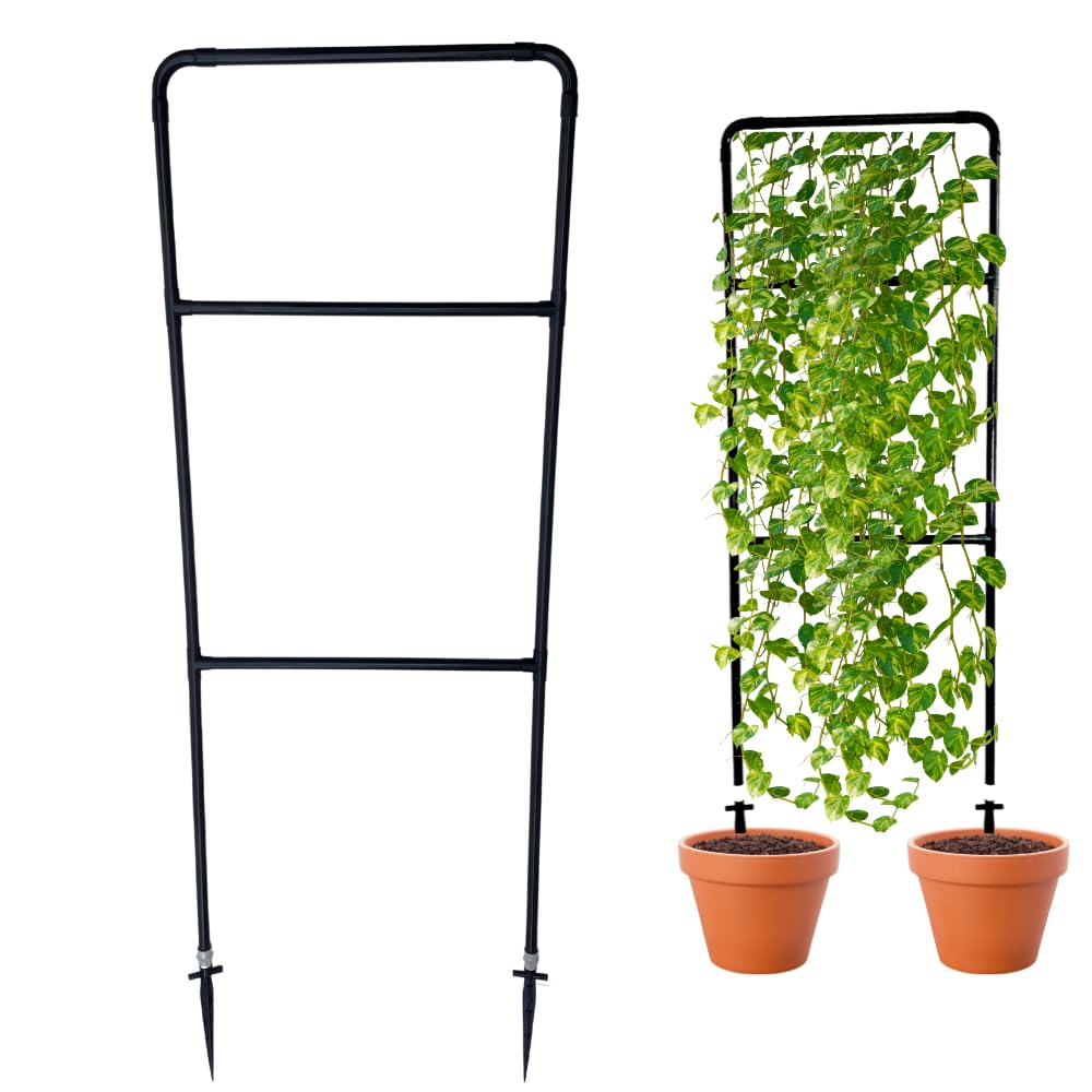 See full amazon price history chart for Invelligen Garden Trellis (6 Feet * 2 Feet) Balcony Privacy Screen with Creeper Support Plant Support Poles and Stakes Pack of 1 Invelligen Garden Trellis (6 Feet * 2 Feet) Balcony Privacy Screen with Creeper Support Plant Support Poles and Stakes Pack of 1 (B0B2MZWCJC) Amazon Price History, Amazon Price Tracker