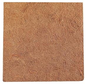 TropicShop Kokosfaserrückwand Terrarium 30x30cm