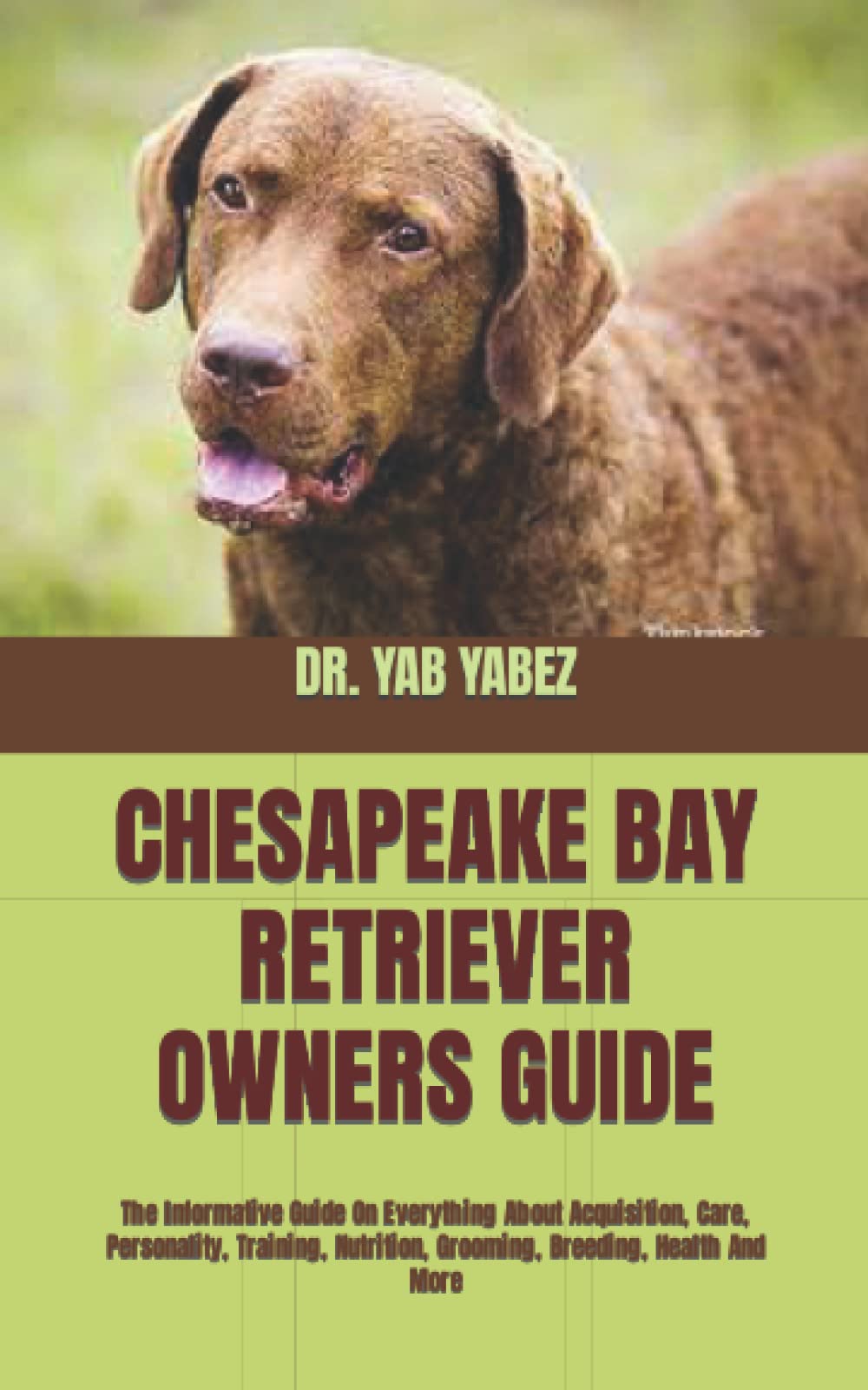 Chesapeake Bay Retriever Owners Guide The Informative Guide On
