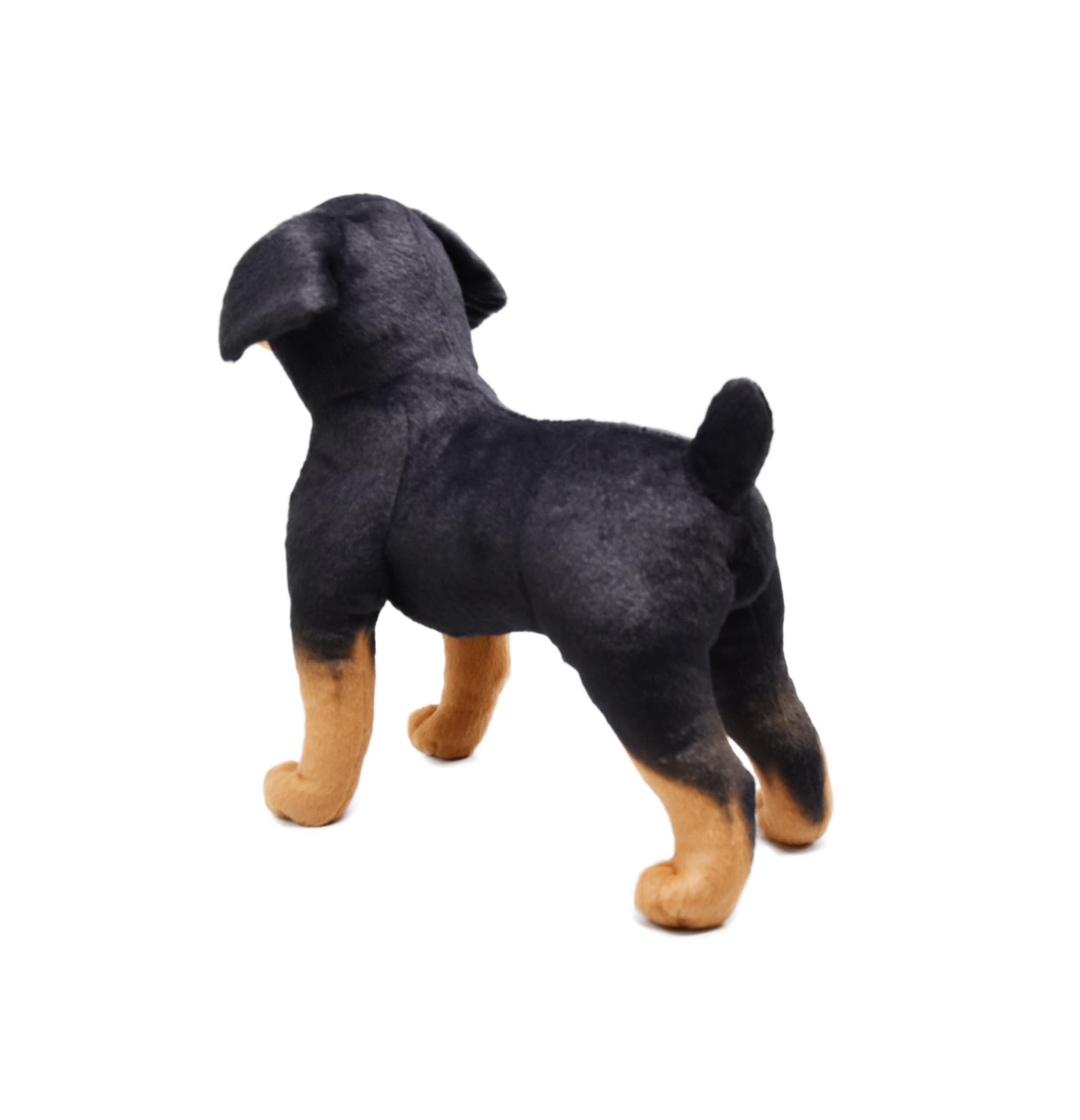 Amazon.co.jp: BABOLI リアルなロットワイラーぬいぐるみ 本物