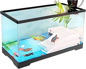 専用　　アクリル水槽 大きめ 木製フレーム付き Amazon | Aeroor亀 水槽 大きい タートルタンク カメ用水槽