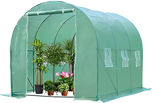 Kit de invernadero para invernadero con ventanas de observación para plantas al aire libre, casas verdes para exteriores (L10 x 7 x 7 x 7 pies)