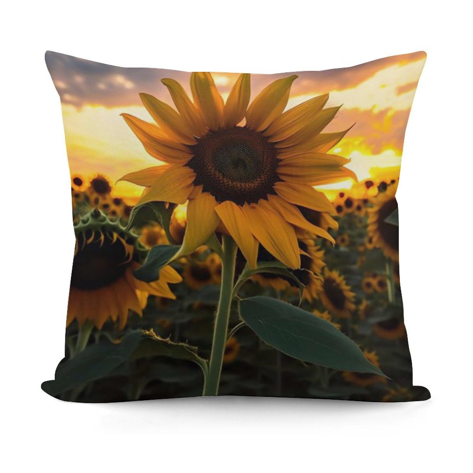 VstaDank Farm Sunflower Throw Pillow Covers Fade-Resistant Plush Pillow Case Cozy Square Cushion Case Removable Pillowcase Exquisite Pillow Shams Soft Pillow Protector 18"x18"