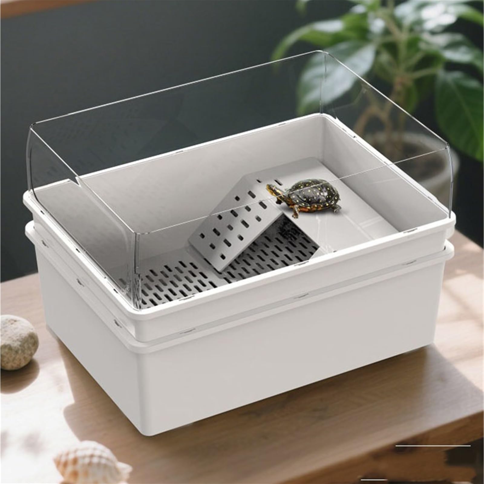 Siedlisko terrarium Dwuwarstwowy zbiornik odprowadzający wodę z oddzielnym żółwiem do użytku domowego Terrarium akwariowe