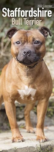 Staffordshire Bull Terrier Slim Calendar 2022 | Dog Breed Slimline Calendar - 12 Month: Address Books, Journals &amp; More