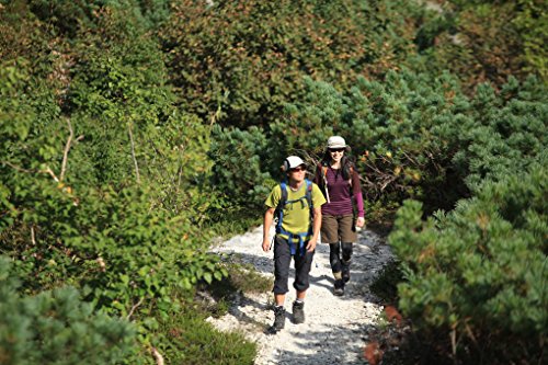 Suncloud Carousel Polarized Sunglass (Black Backpaint Laser Frame/Gray Polar Lens)2