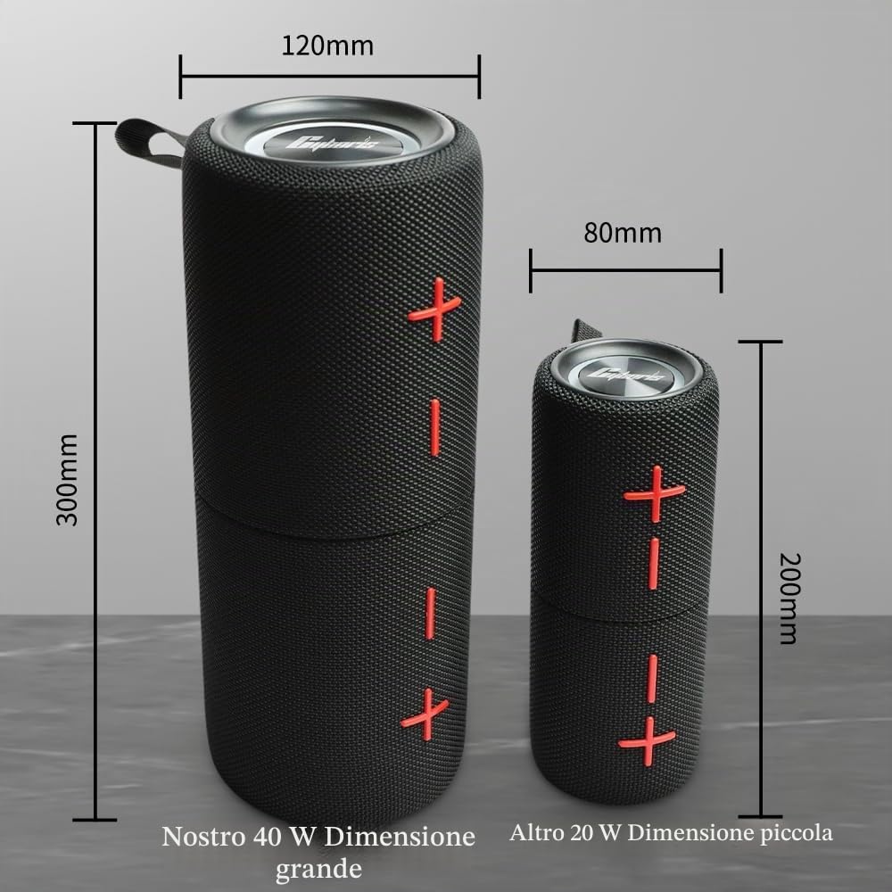 CYBORIS Doppio Altoparlante Bluetooth 2 in 1 40 W Impermeabile Senza Fili V5.3 Bassi Profondi Suono Stereo Potente 24 Ore di Riproduzione Vero Appariamento