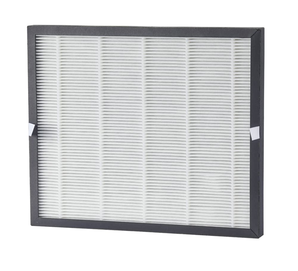 Filtro HEPA 2in1 e Filtro di Ricambio Filtro a Carbone Attivo per Greenmigo Deumidificatore 25L WiFi(ALPHA-Q25 Pro WiFi)/20L(ALPHA-Q20) Ambiente Deumidificatore, Bianco/Nero