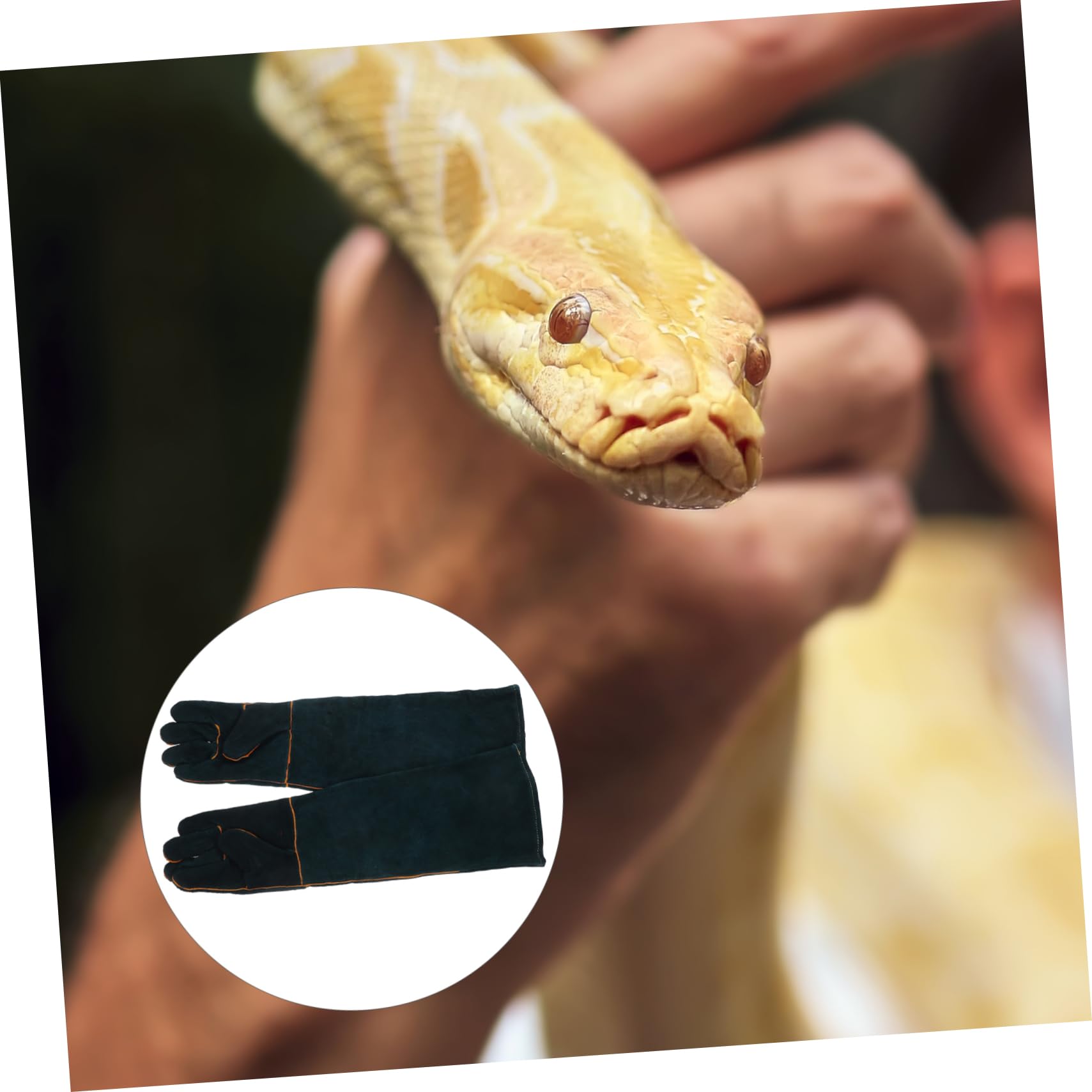 Uonlytech Moufles de Protection Anti-morsure pour Reptiles et Chats, Cuir de Vache, Ajustement, pour Manipulation D’animaux et Alimentation