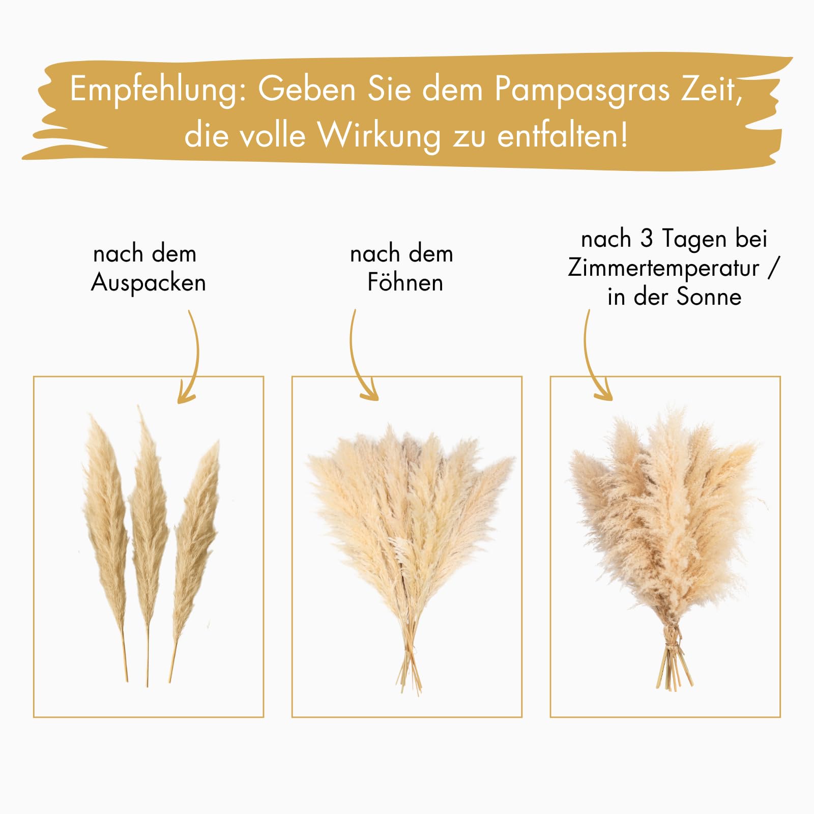 Pampasgras groß 100 cm - Trockenblumenstrauß XXL - Trockenblumen Boho Deko Beige Schlafzimmer Wohnzimmer Badezimmer Hochzeit Tischdeko getrocknet (10 Stück)