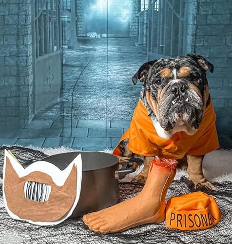 Midlee Orange Prisoner Halloween Costume (Medium) #TOP1