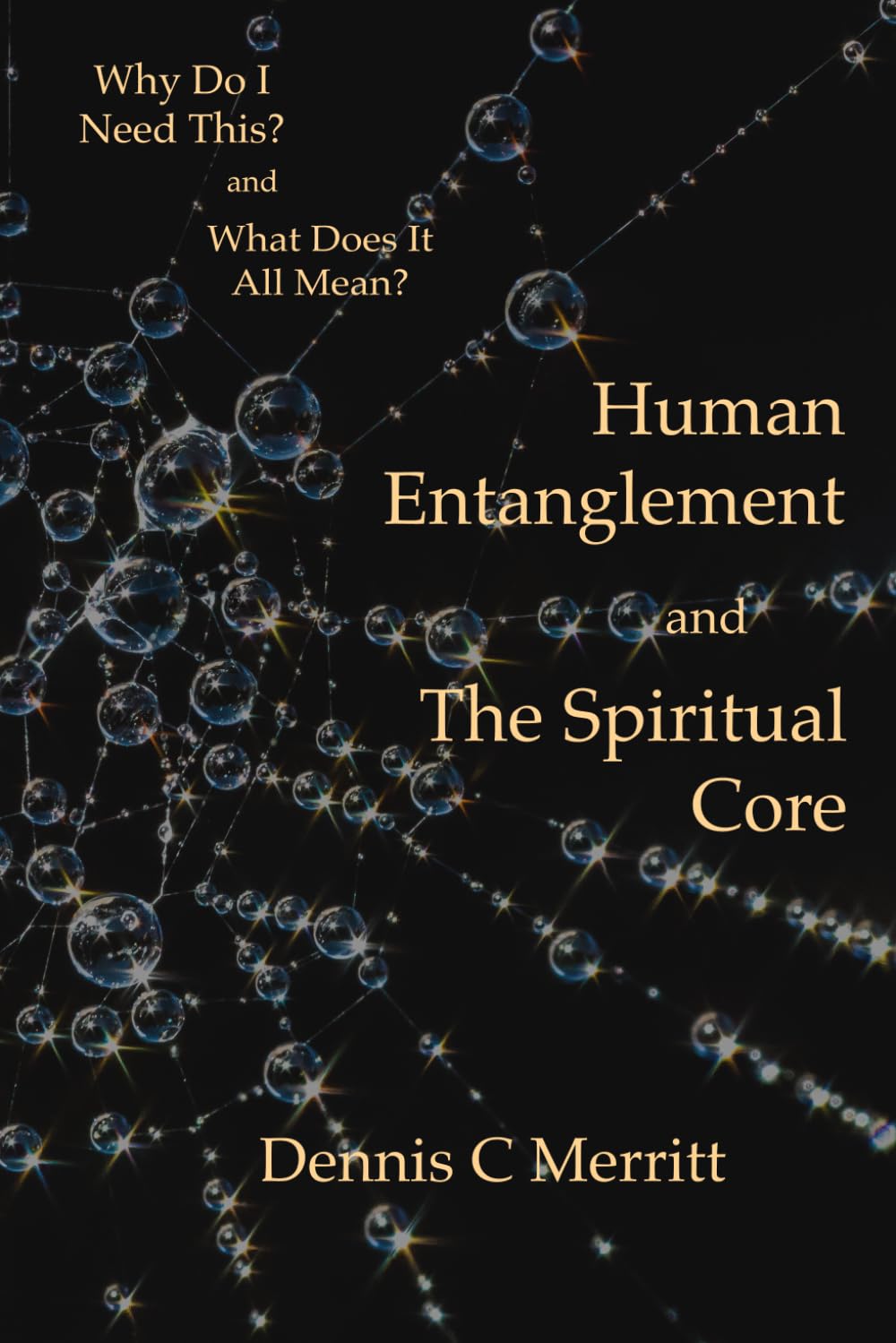 Human Entanglement and the Spiritual Core: Why do I need this? and What does it all mean?