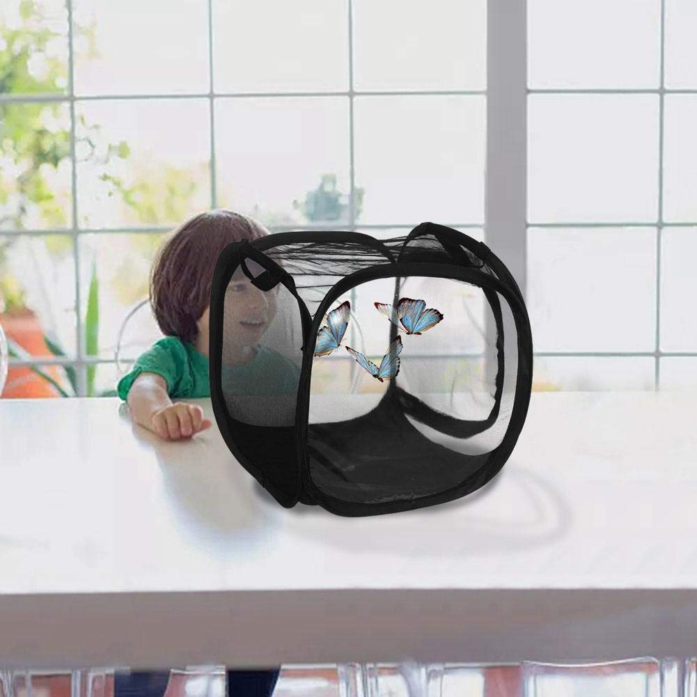 Schmetterlingsnetz & Insektengehege Starter-Set – Zusammenklappbar, Transparent, Für Kinder