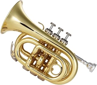 ADAPEY Miniature Trumpet Model, Professional mini trumpet Mini Pocket Trumpet Bb Flat Brass Wind Instrument With Mouthpiece Gloves Cleaning Cloth Carrying Case