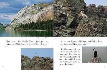 犬といっしょにイカダ旅 (たくさんのふしぎ2023年8月号) | 佐藤