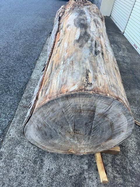 5-228 Wood Sho) Namewood, Keyaki, Super Huge Log, Raw Wood, 36.6 inches (930 mm) (Length 74.8 inches (1900 mm) x End Opening 36.6 inches (930 mm)