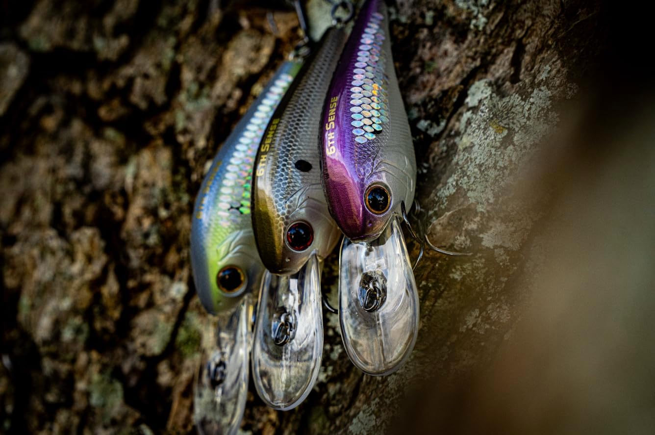 6th Sense – $99 Garage Sale Sack – Tackle Bundle with $140+ Value – Includes Baits, Samples, Custom Colors, and More