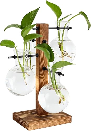 PAG Kit de terrarios para plantas, soporte hidropónico de escritorio para macetas de aire con vaso de precipitados de 4 bombillas y soporte de PAG Kit de terrarios para plantas, soporte hidropónico de escritorio para macetas de aire con vaso de precipitados de 4 bombillas y soporte de