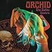 The Zodiac Sessions