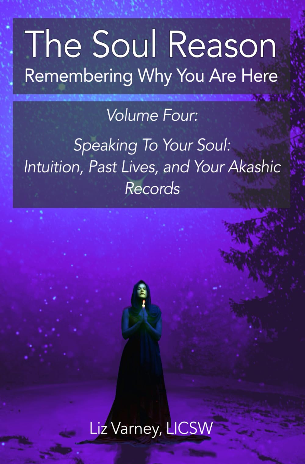 The Soul Reason, Volume 4: Speaking To Your Soul: Intuition, Past Lives and Your Akashic Records